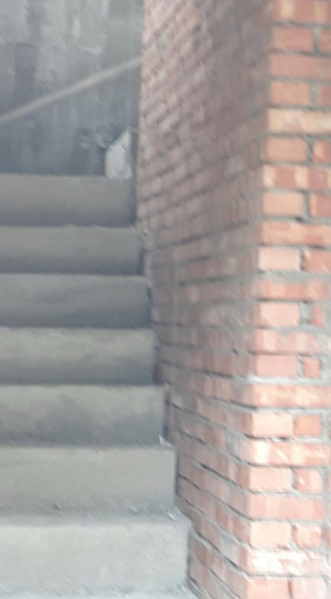 彰化市居家修繕, 彰化市舊屋改造, 彰化市土水師傅, 彰化市泥作工程, 彰化市衛浴廁所整修, 彰化市舊屋翻新, 彰化市套房裝修, 彰化市房屋結構補強居家修繕, 彰化市房屋裝修, 彰化市舊屋翻新, 彰化市房子結構補強